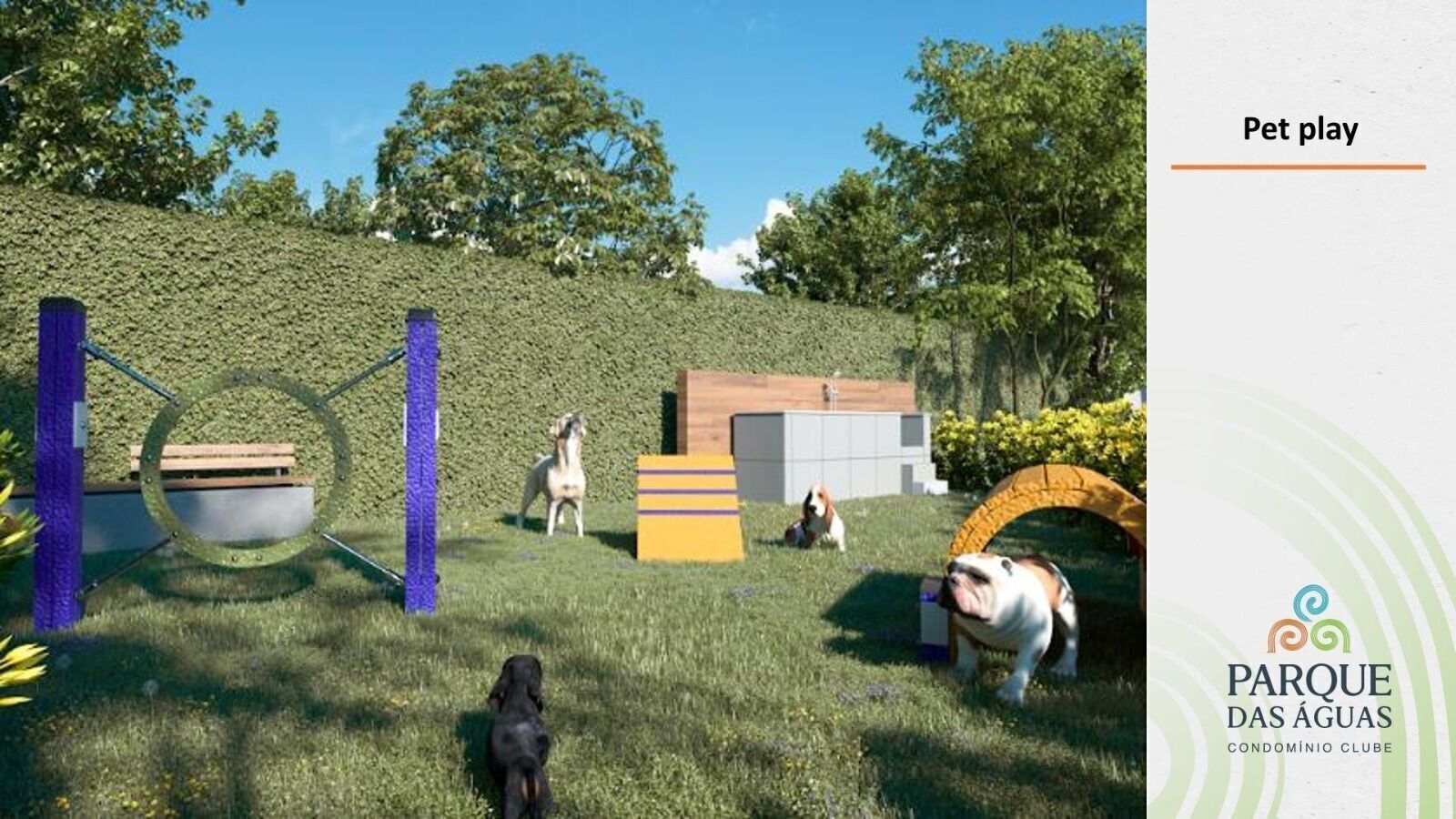 Apartamento, 3 quartos, 54 m² - Foto 26