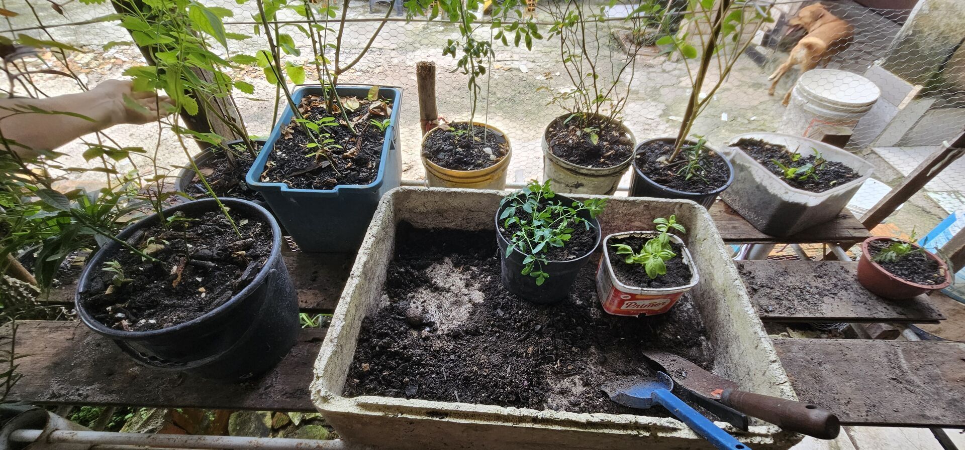 Casa, 2 quartos, 205 m² - Foto 14