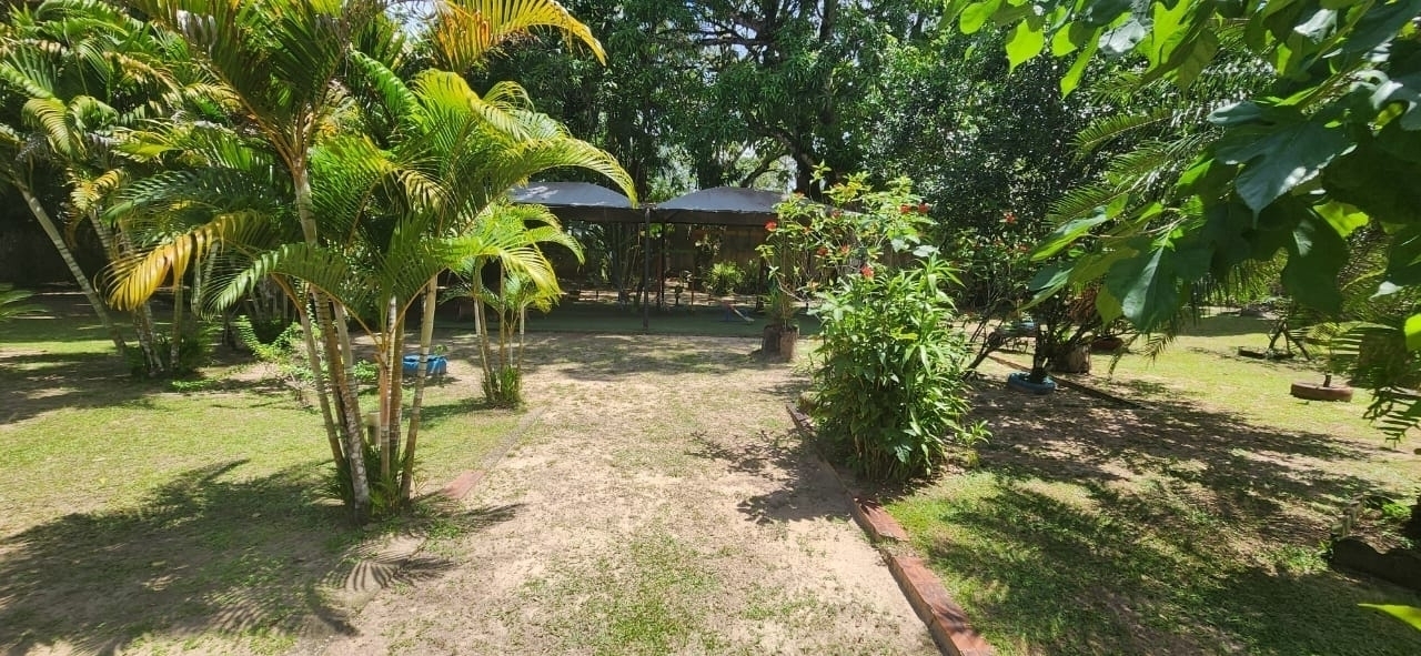 Fazenda à venda com 6 quartos, 400m² - Foto 21