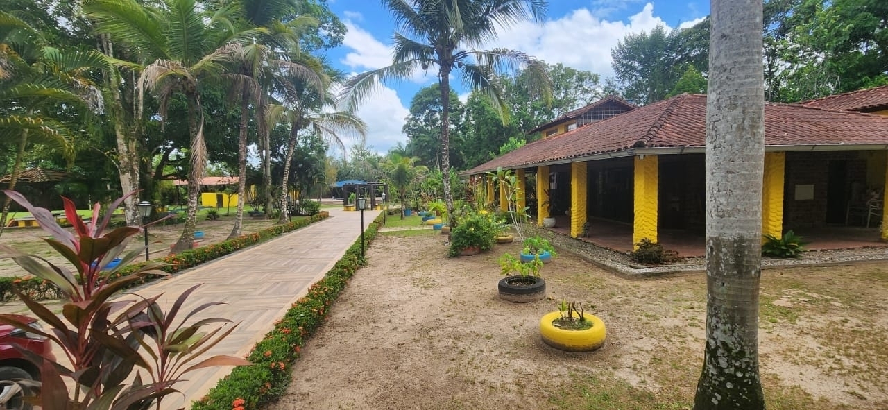 Fazenda à venda com 6 quartos, 400m² - Foto 7