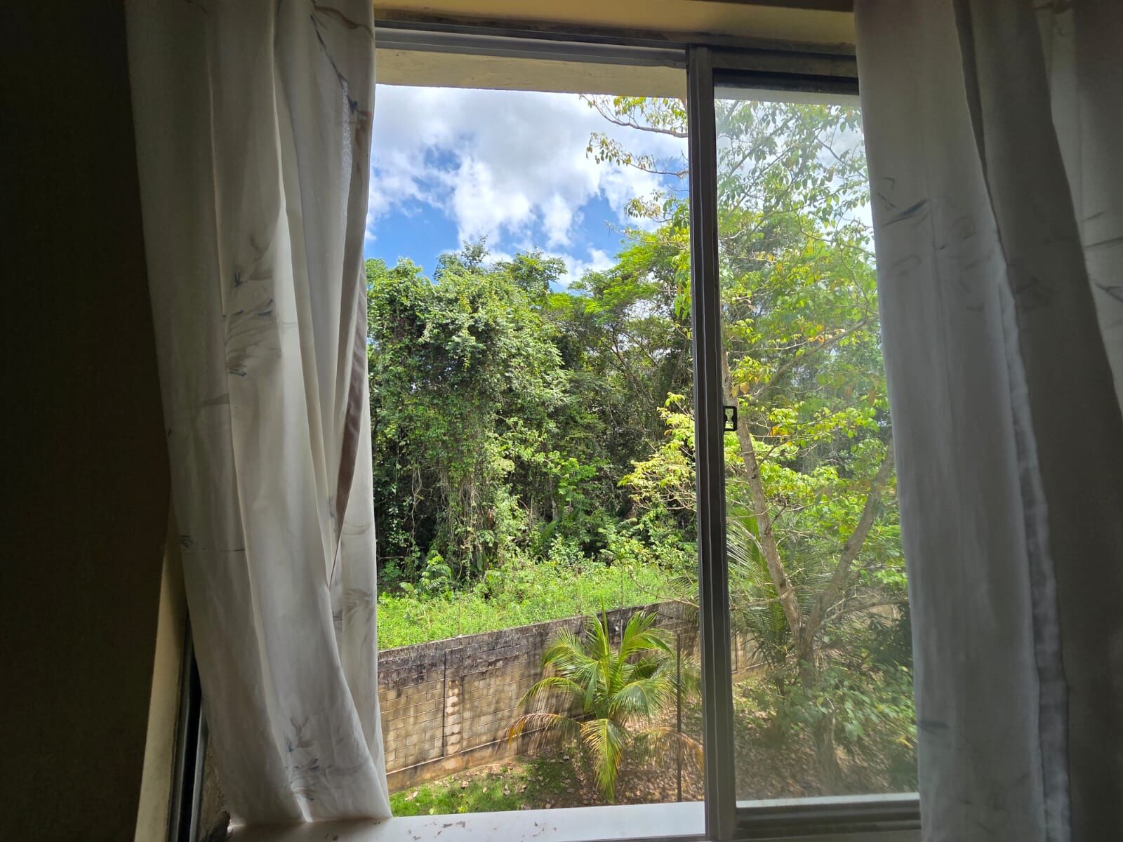 Apartamento, 3 quartos, 75 m² - Foto 6