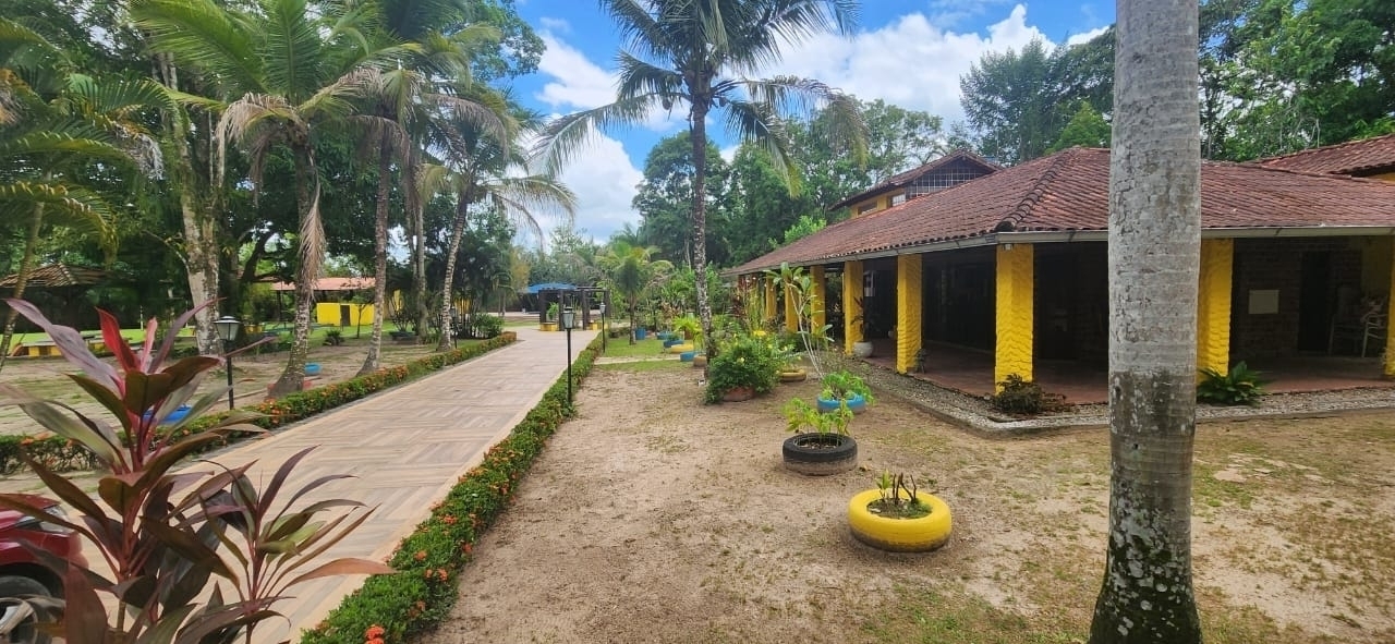 Fazenda à venda com 6 quartos, 400m² - Foto 8