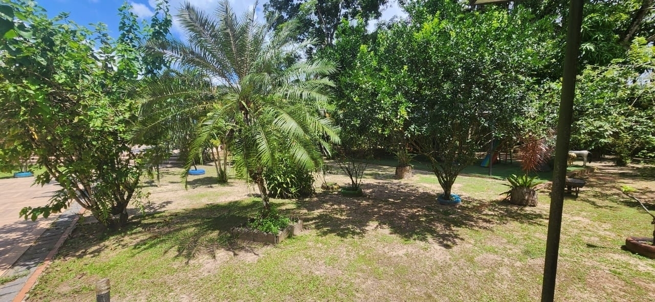 Fazenda à venda com 6 quartos, 400m² - Foto 42