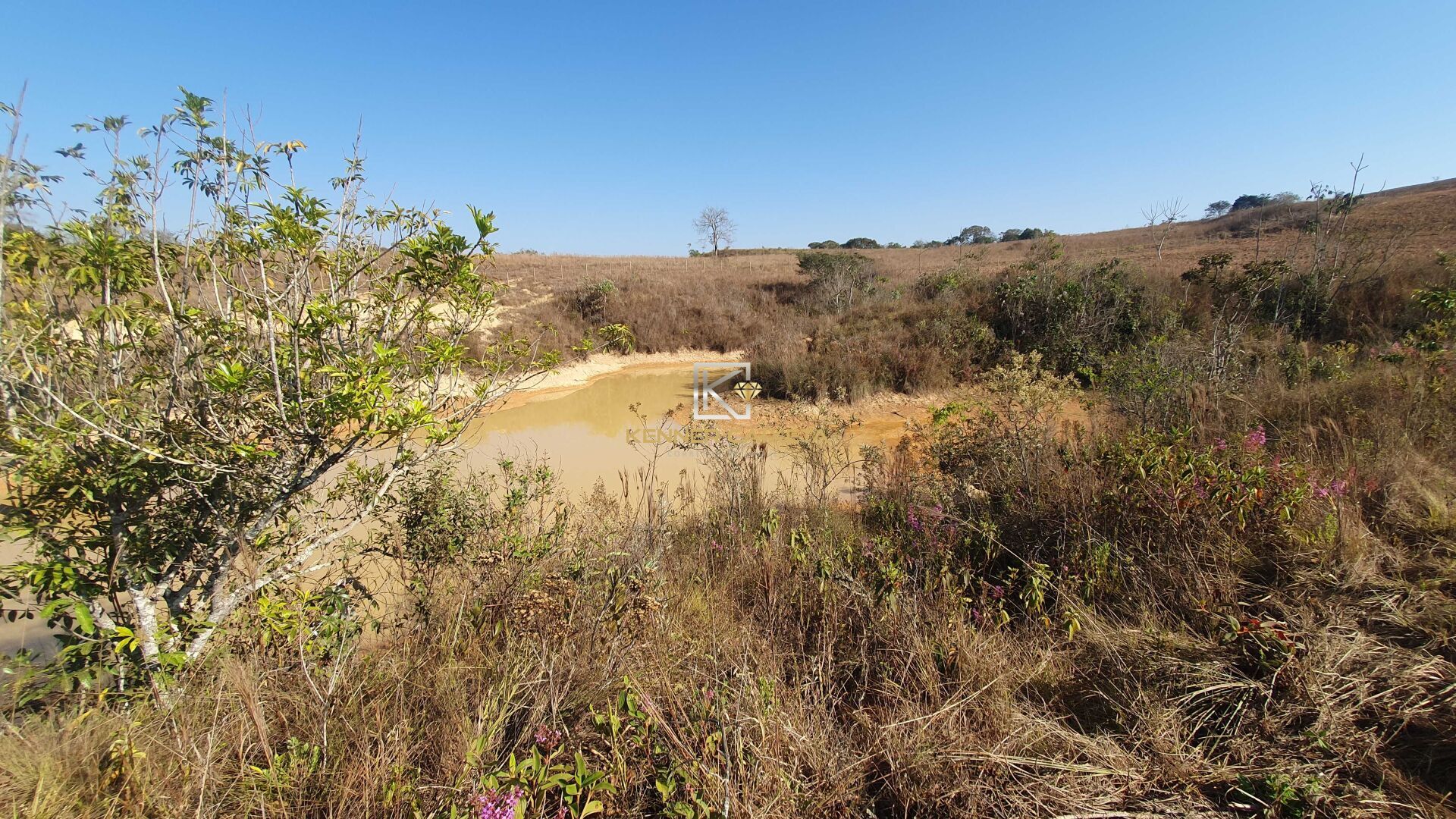 Fazenda à venda, 36200m² - Foto 6