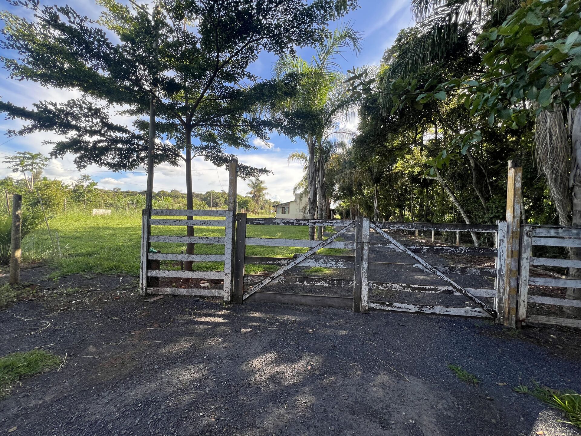 Chácara, 2 quartos, 2000 m² - Foto 2