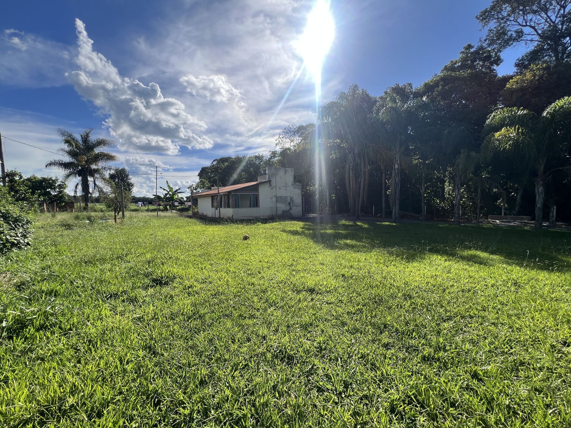 Chácara, 2 quartos, 2000 m² - Foto 3