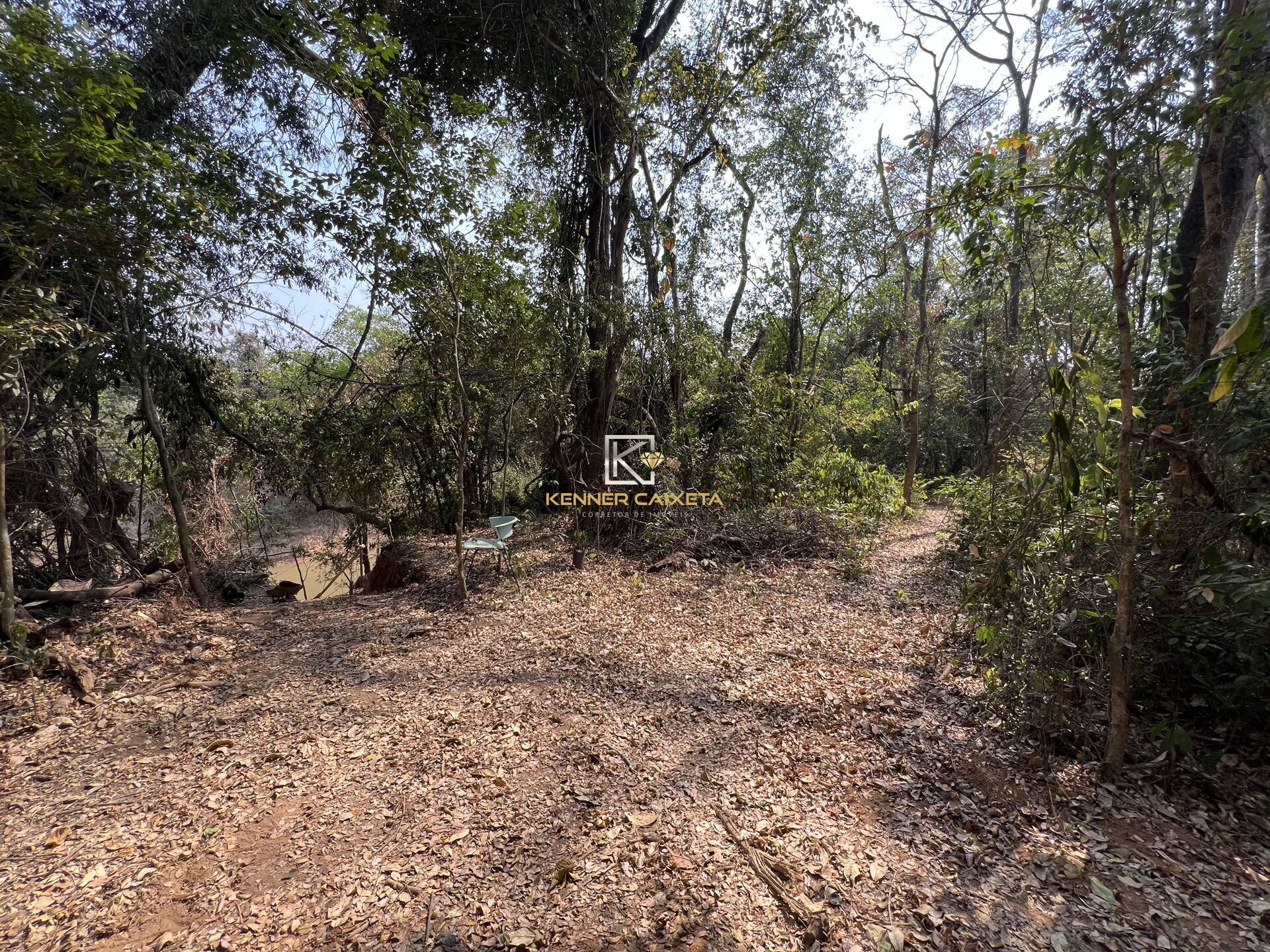 Fazenda à venda com 4 quartos, 2000m² - Foto 18