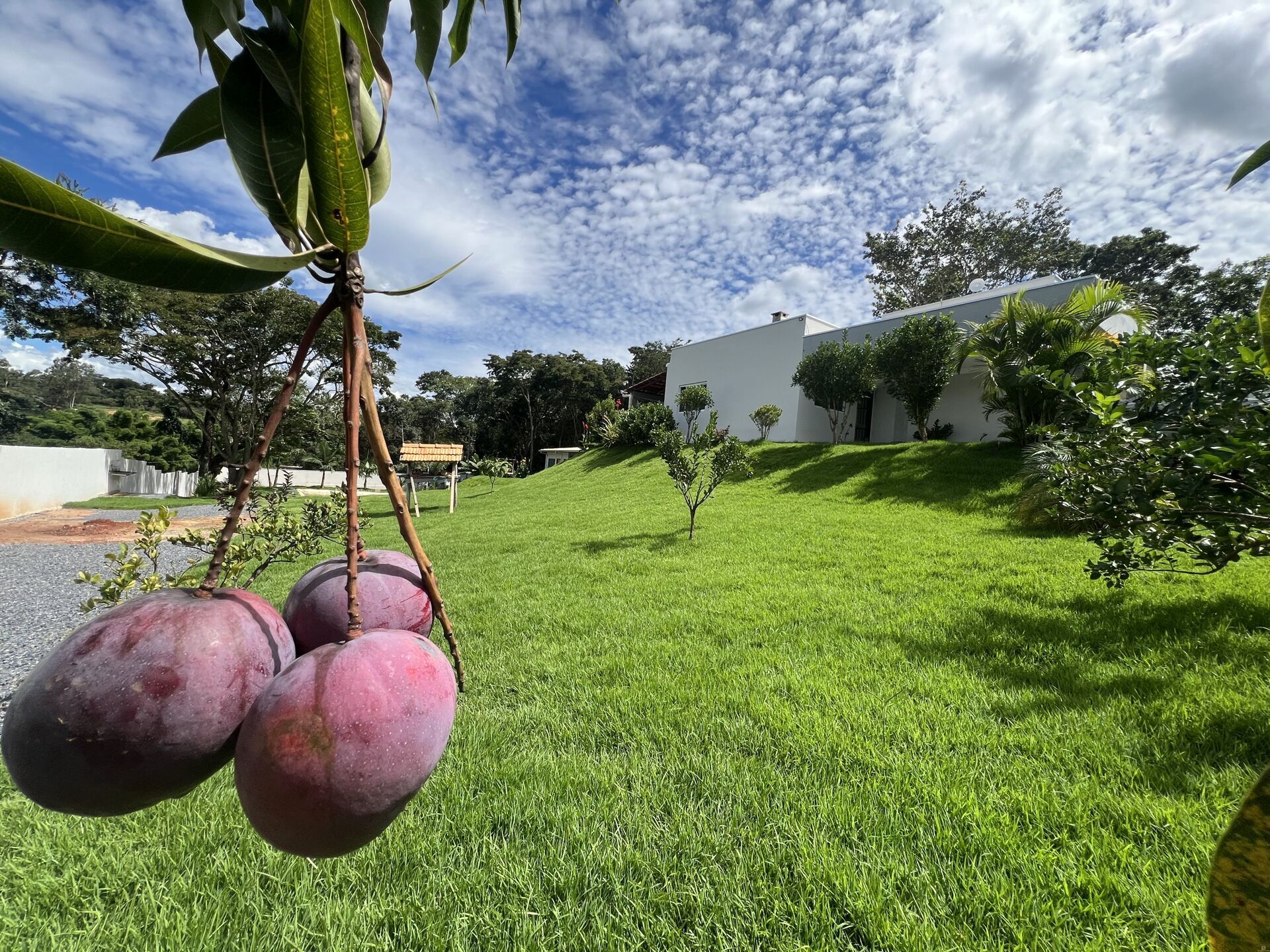 Chácara, 2 quartos, 2120 m² - Foto 3