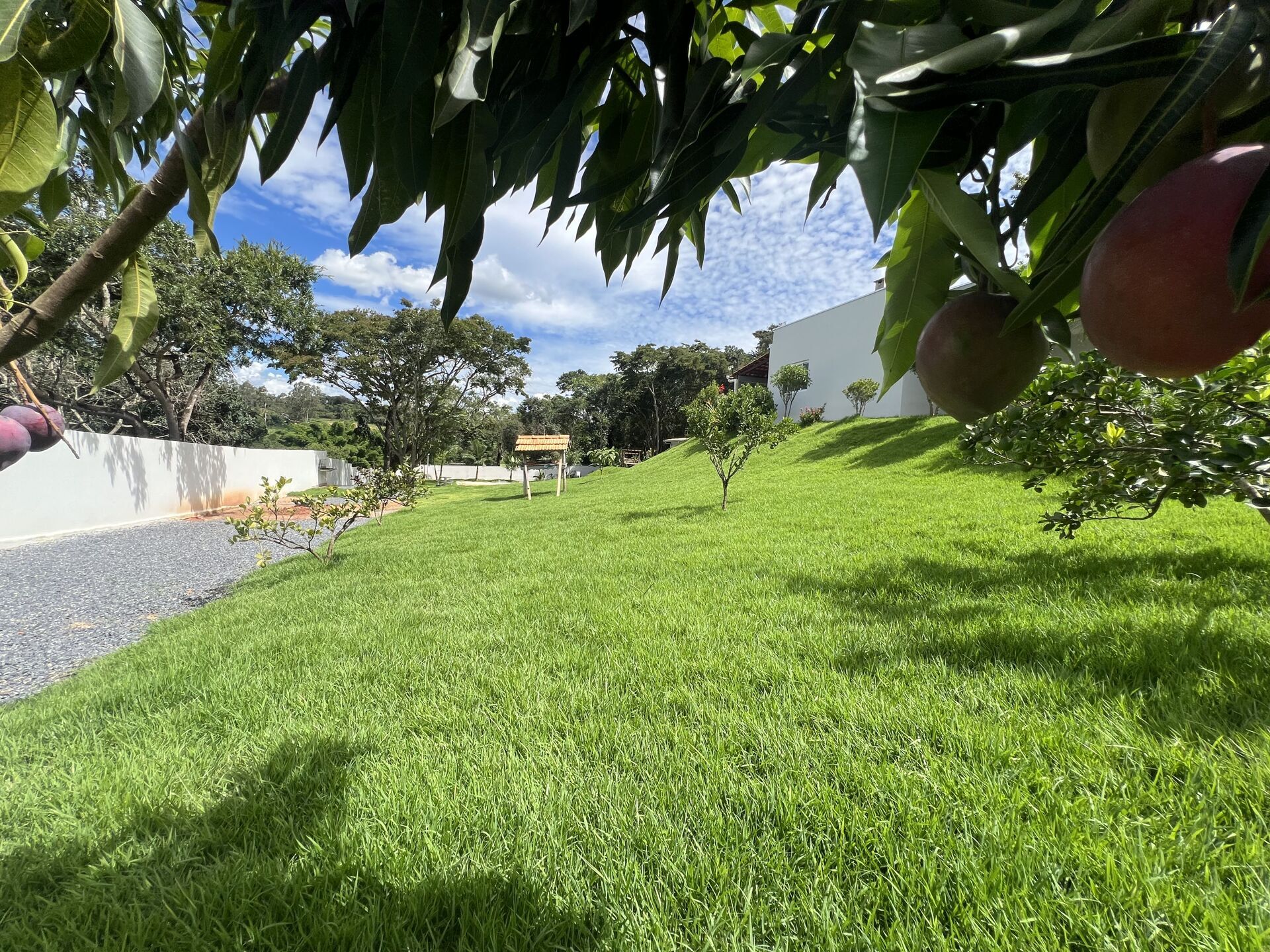 Chácara, 2 quartos, 2120 m² - Foto 4