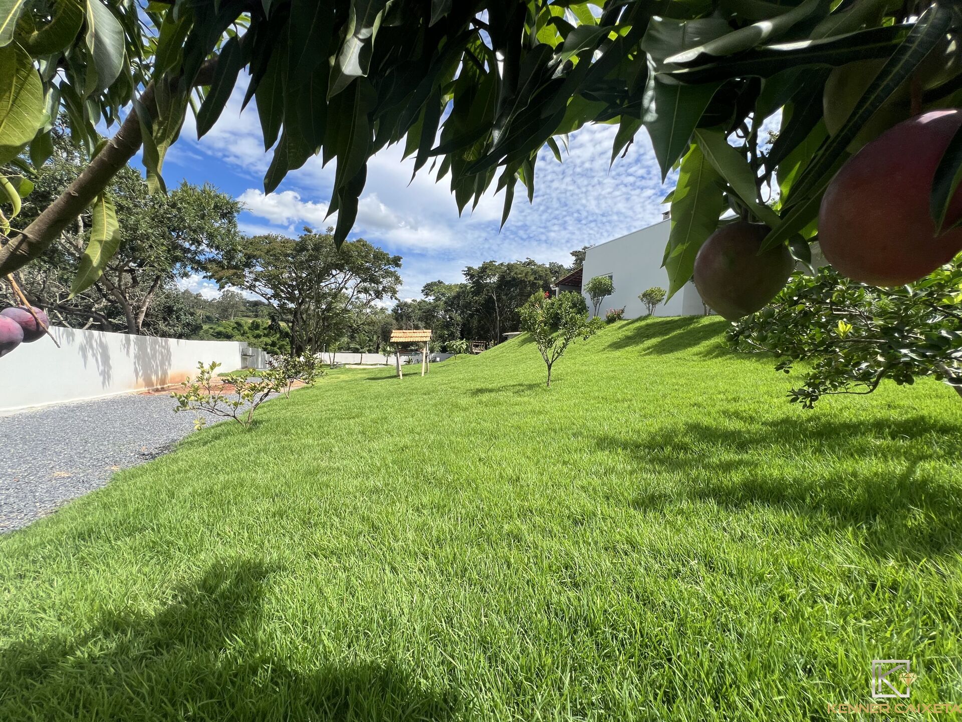 Chácara, 2 quartos, 2120 m² - Foto 4