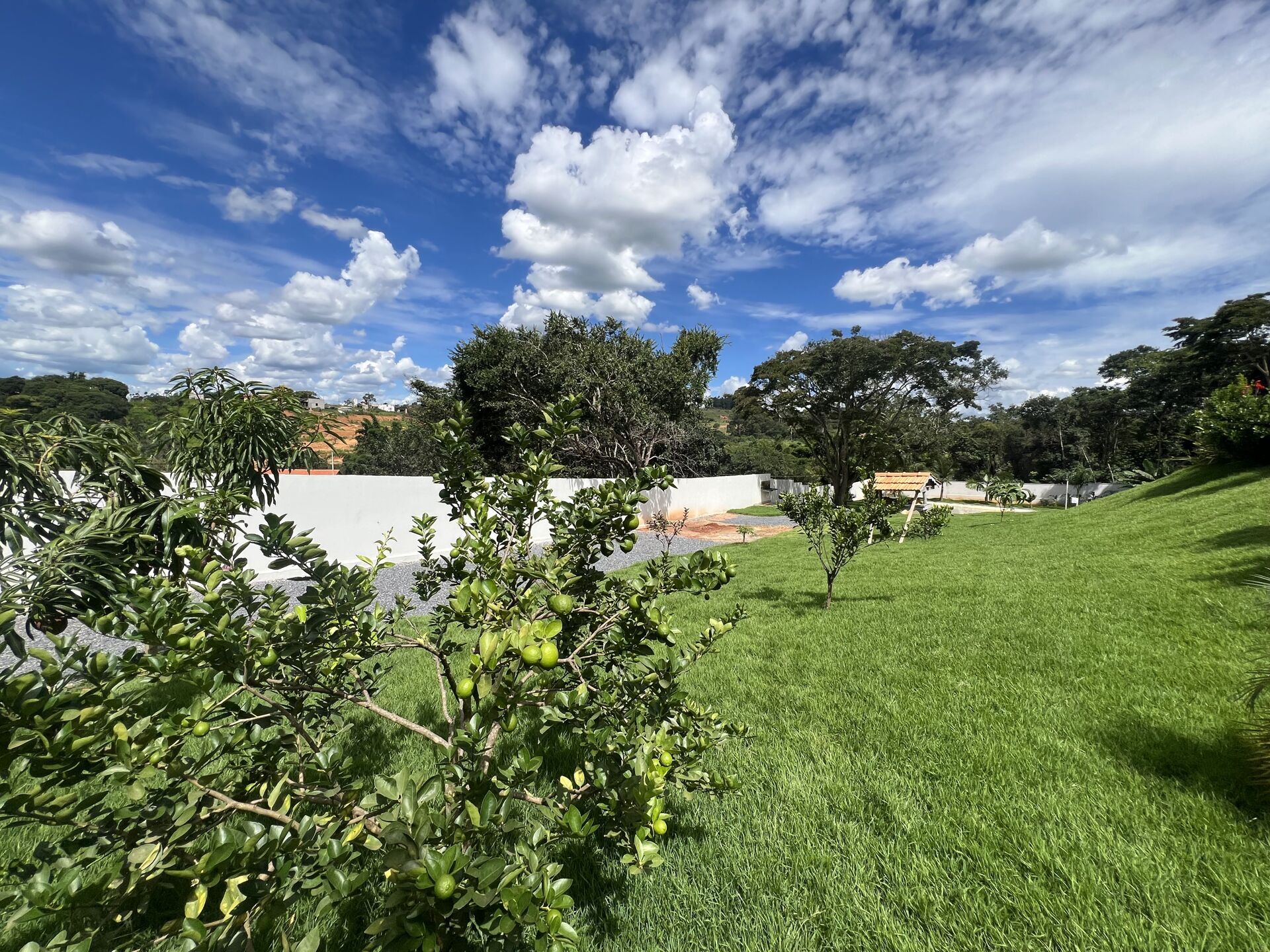 Chácara, 2 quartos, 2120 m² - Foto 5