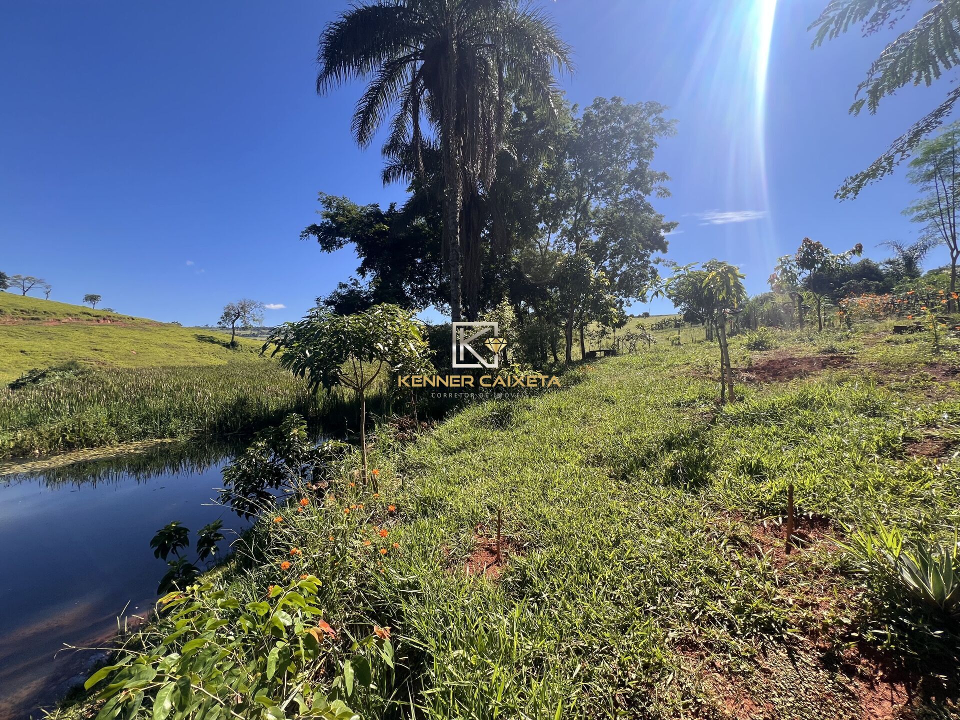 Chácara, 3 quartos, 3 hectares - Foto 5