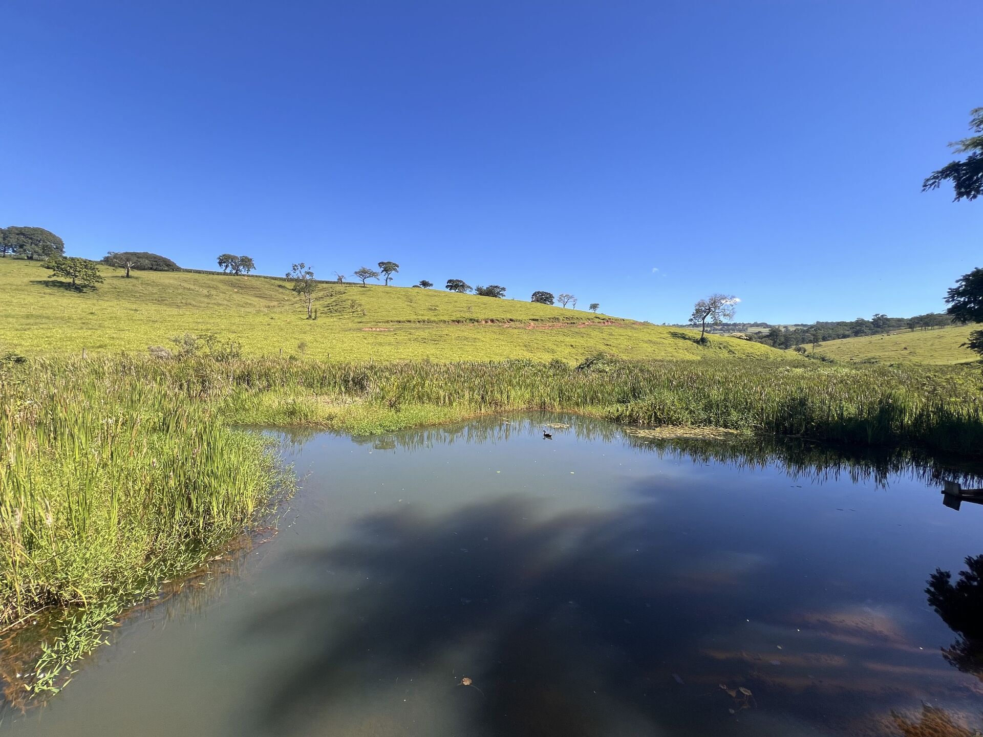 Chácara, 3 quartos, 3 hectares - Foto 4