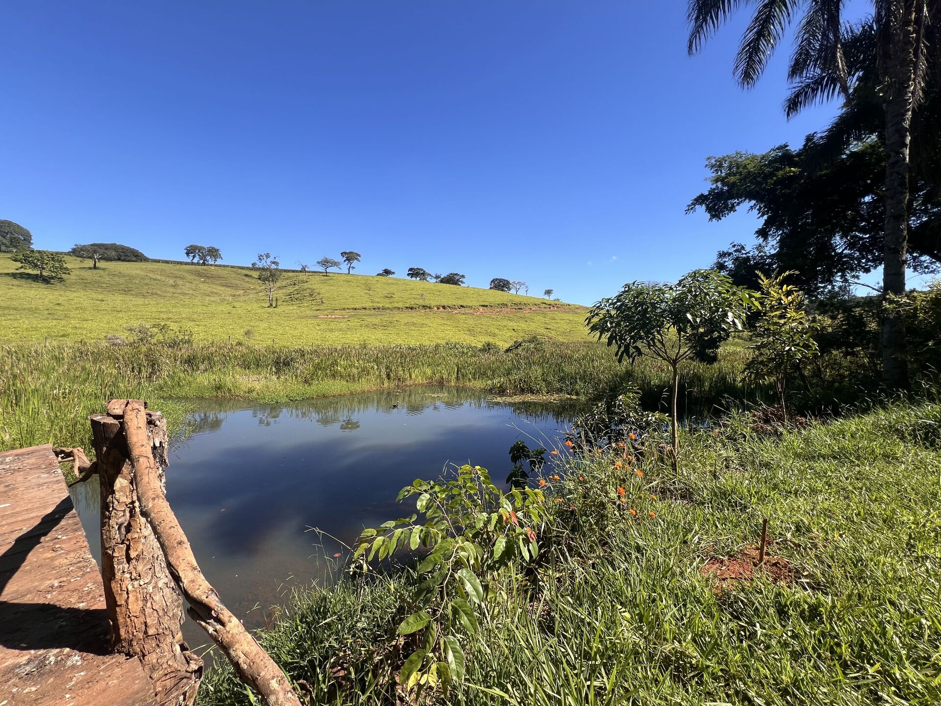 Chácara, 3 quartos, 3 hectares - Foto 2