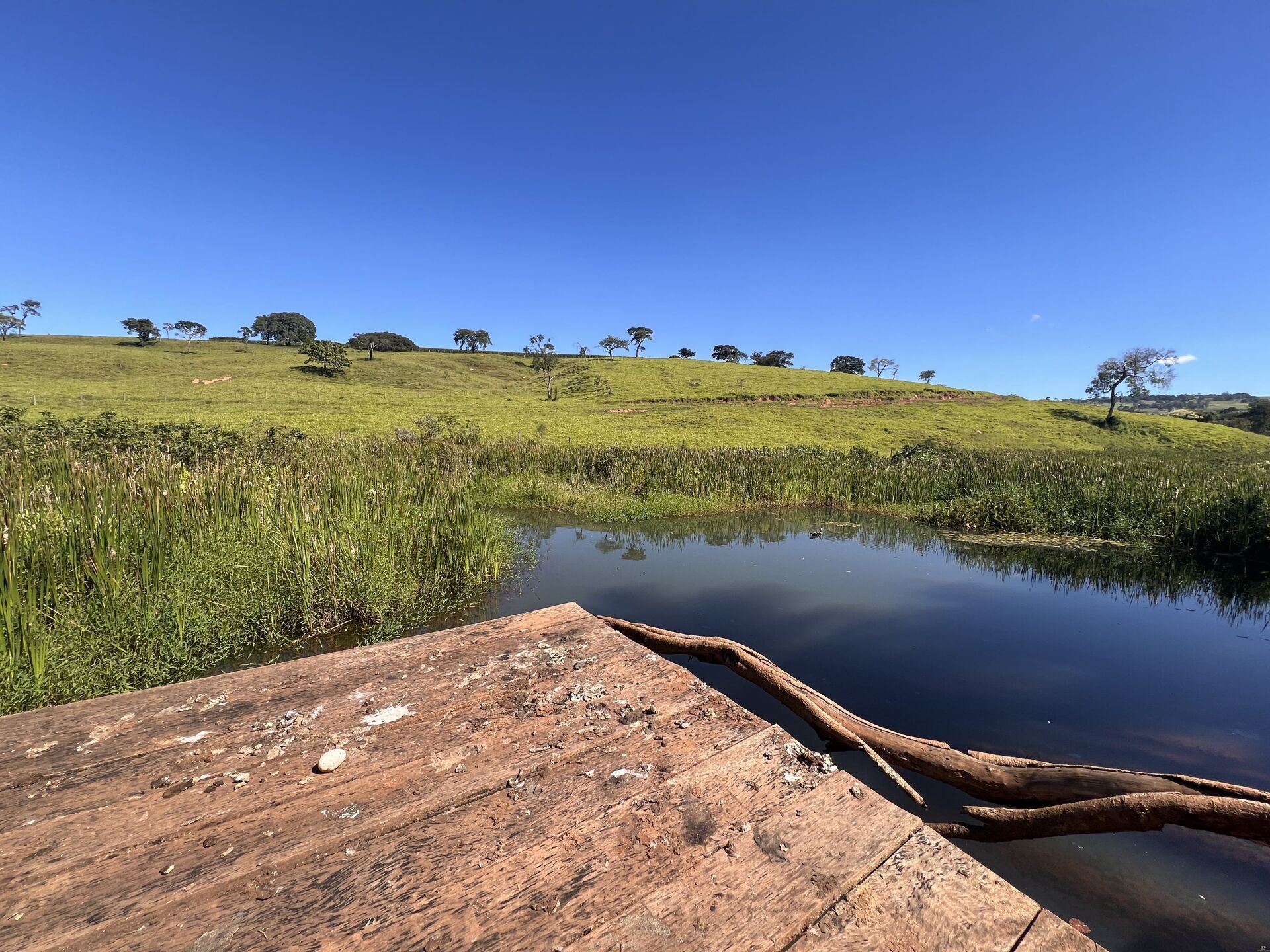 Chácara, 3 quartos, 3 hectares - Foto 3