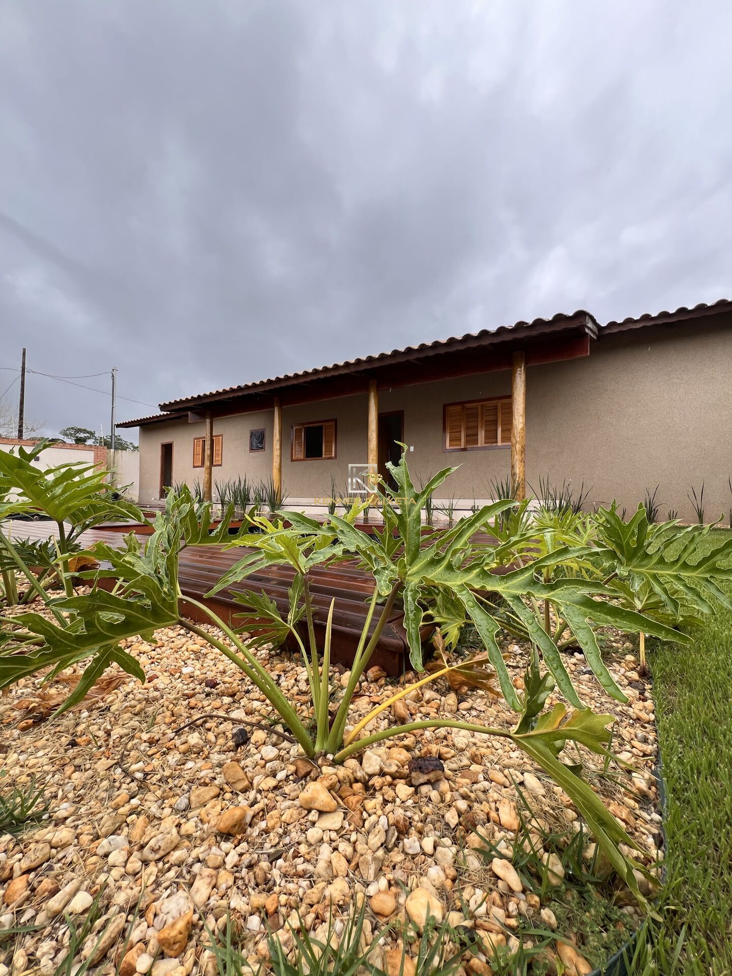 Fazenda à venda com 3 quartos, 1000m² - Foto 6