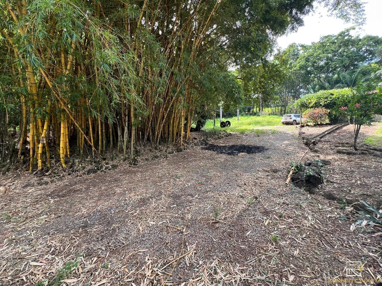 Chácara, 4 quartos, 5 hectares - Foto 20