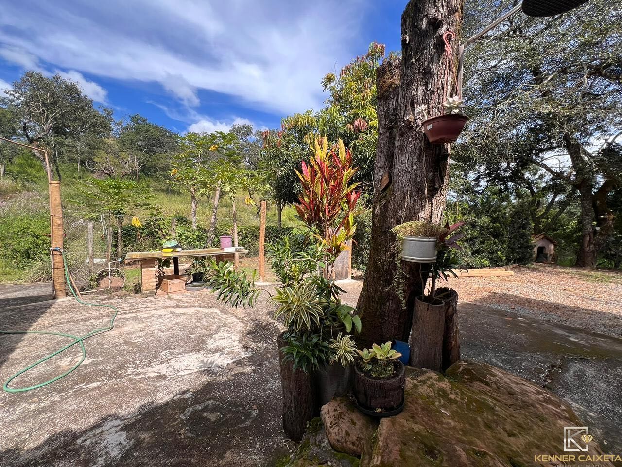 Chácara, 4 quartos, 5 hectares - Foto 16