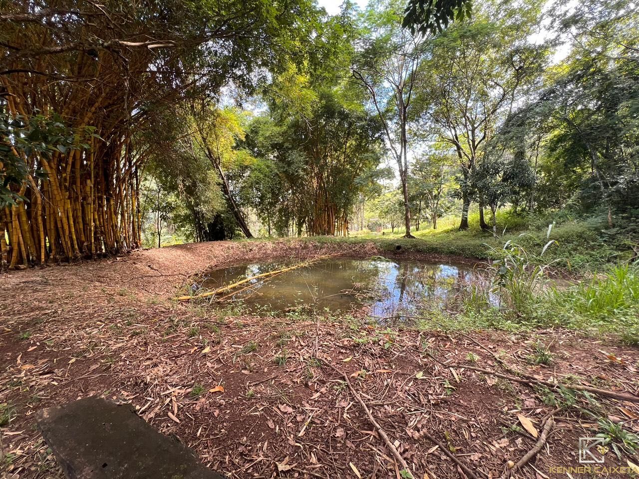 Chácara, 4 quartos, 5 hectares - Foto 25