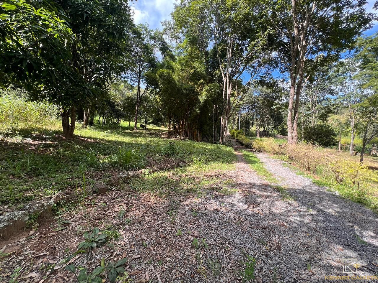 Chácara, 4 quartos, 5 hectares - Foto 33