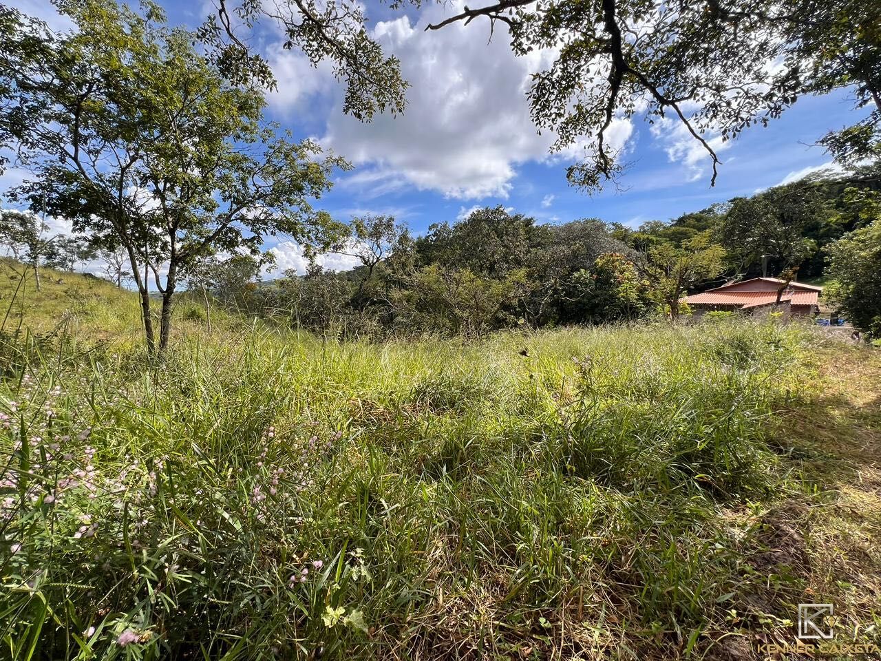 Chácara, 4 quartos, 5 hectares - Foto 14