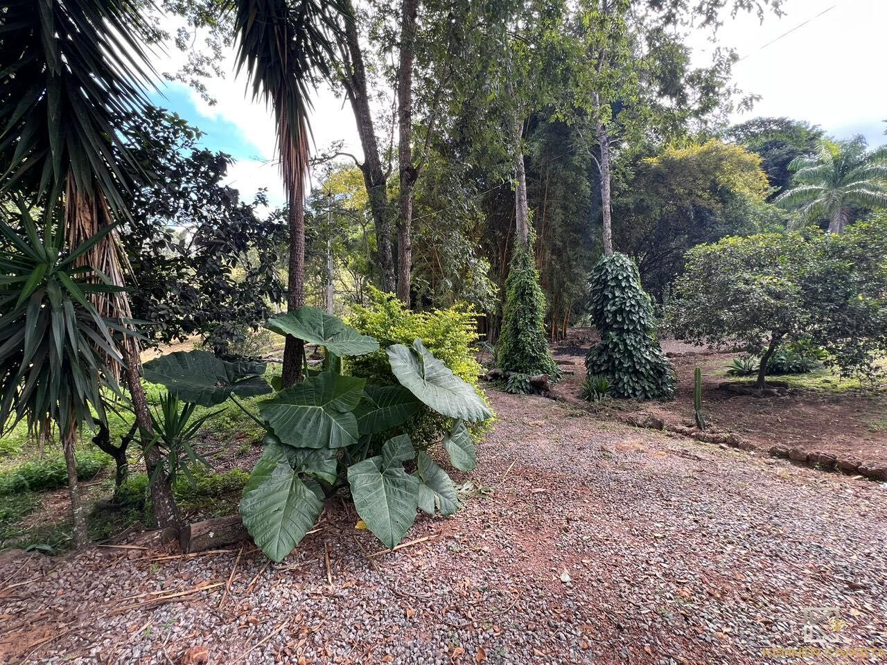 Chácara, 4 quartos, 5 hectares - Foto 17