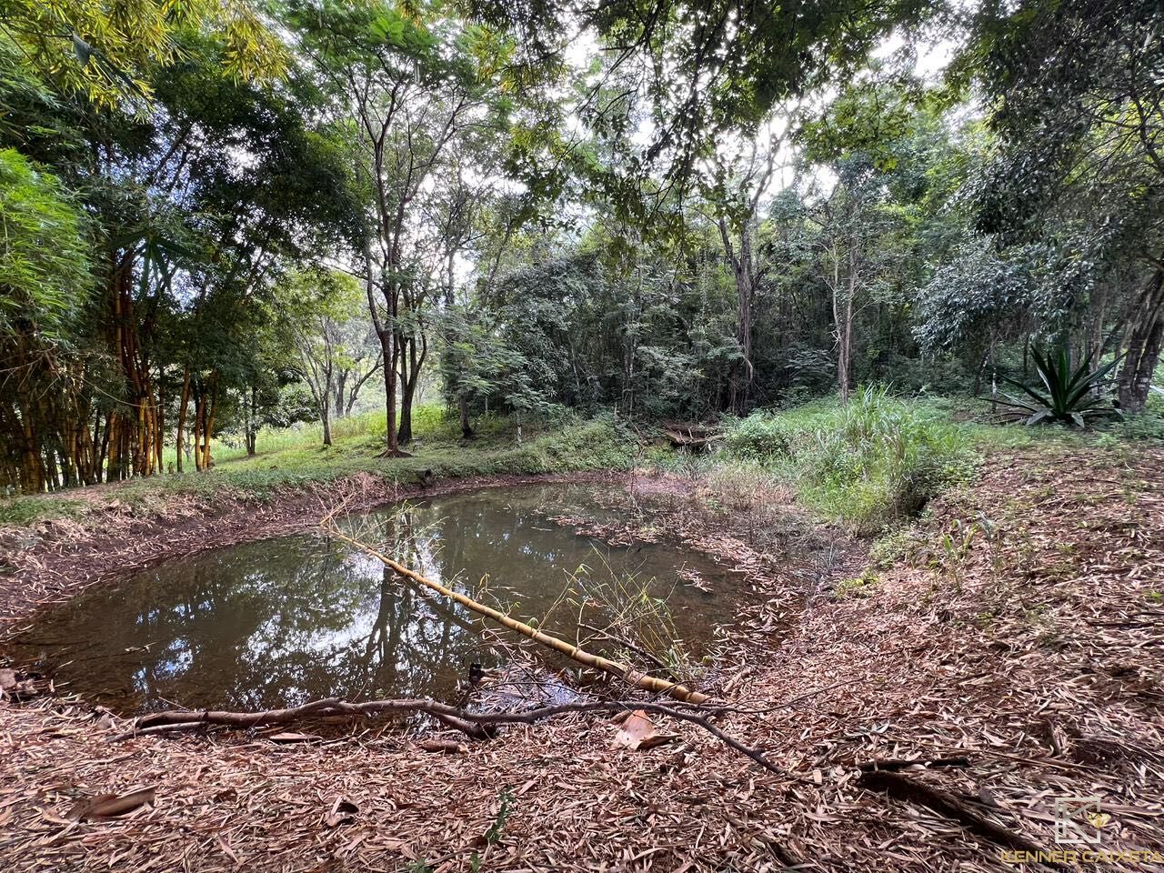 Chácara, 4 quartos, 5 hectares - Foto 24