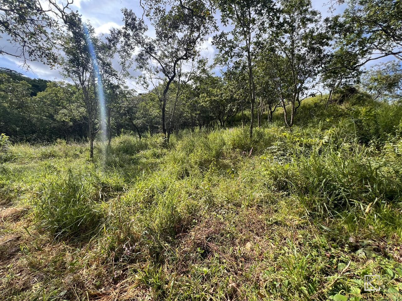 Chácara, 4 quartos, 5 hectares - Foto 13