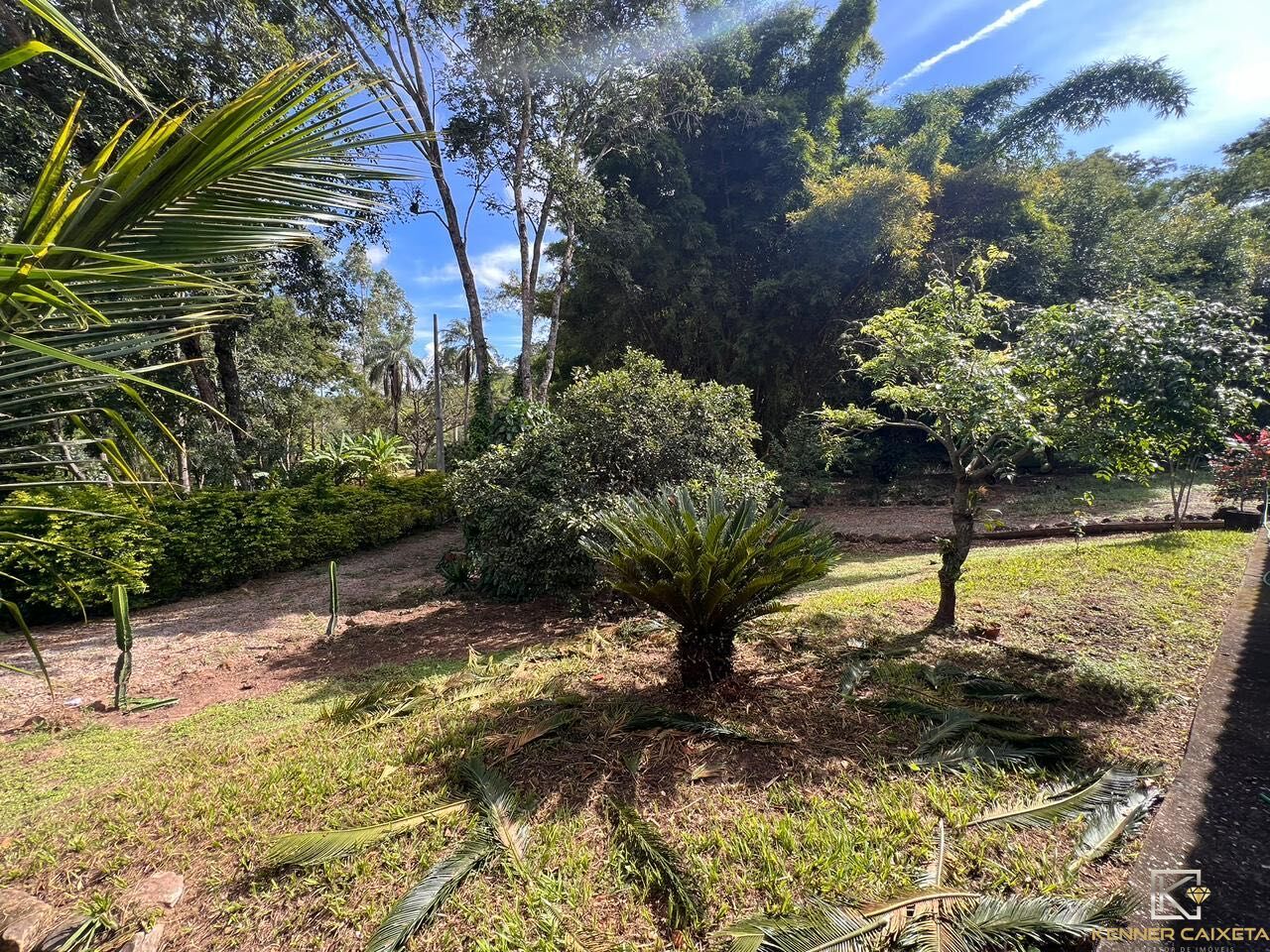 Chácara, 4 quartos, 5 hectares - Foto 7