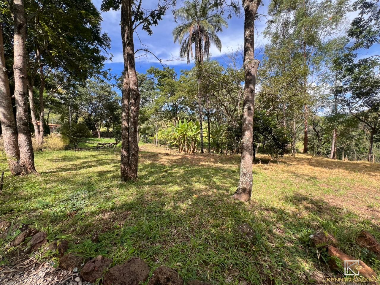 Chácara, 4 quartos, 5 hectares - Foto 34