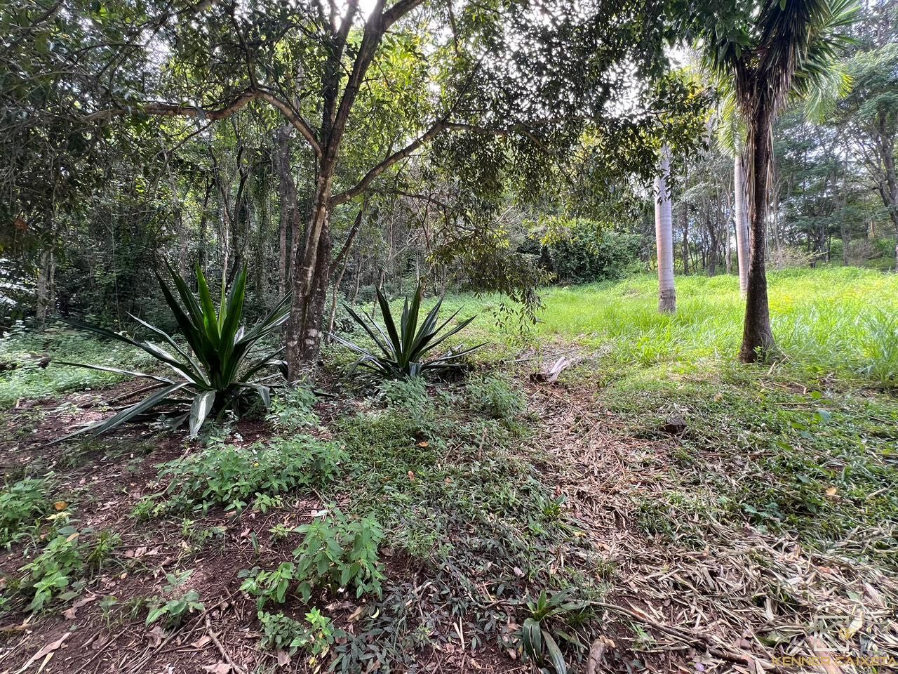 Chácara, 4 quartos, 5 hectares - Foto 27