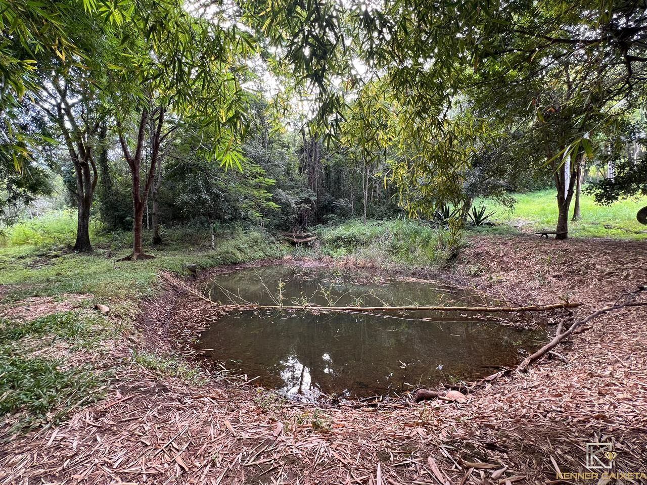 Chácara, 4 quartos, 5 hectares - Foto 22