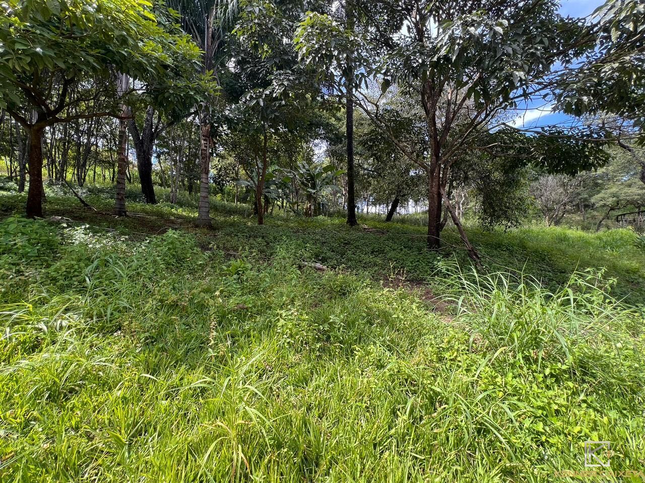 Chácara, 4 quartos, 5 hectares - Foto 30