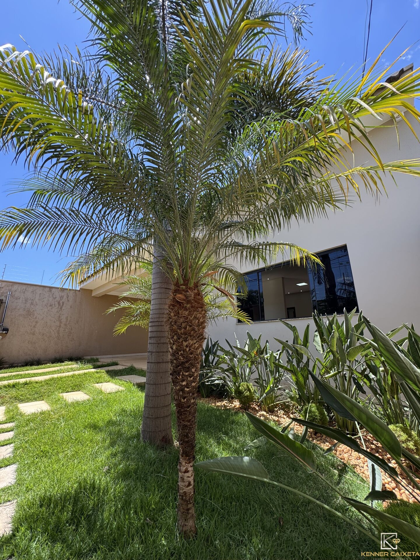Casa, 3 quartos, 255 m² - Foto 6