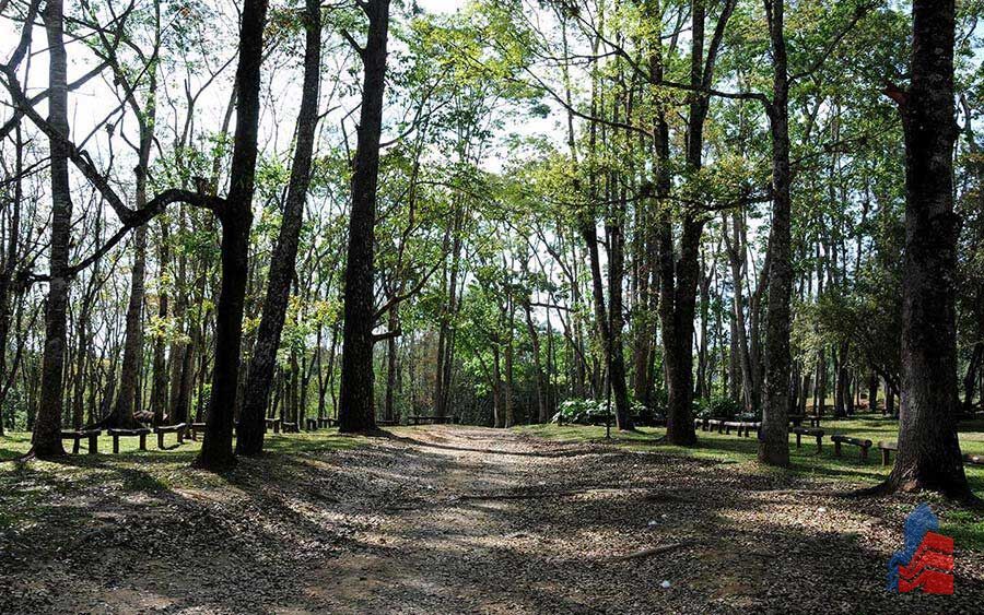 Terreno, 824 m² - Foto 16