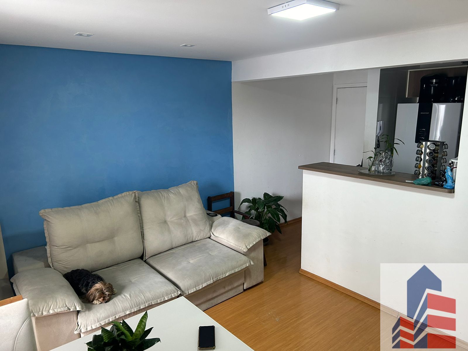 Apartamento à venda com 3 quartos, 62m² - Foto 2