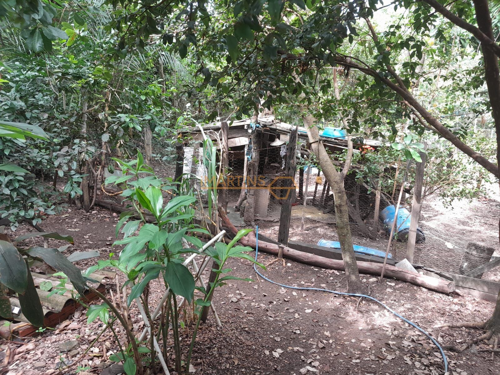 Fazenda, 700 m² - Foto 4