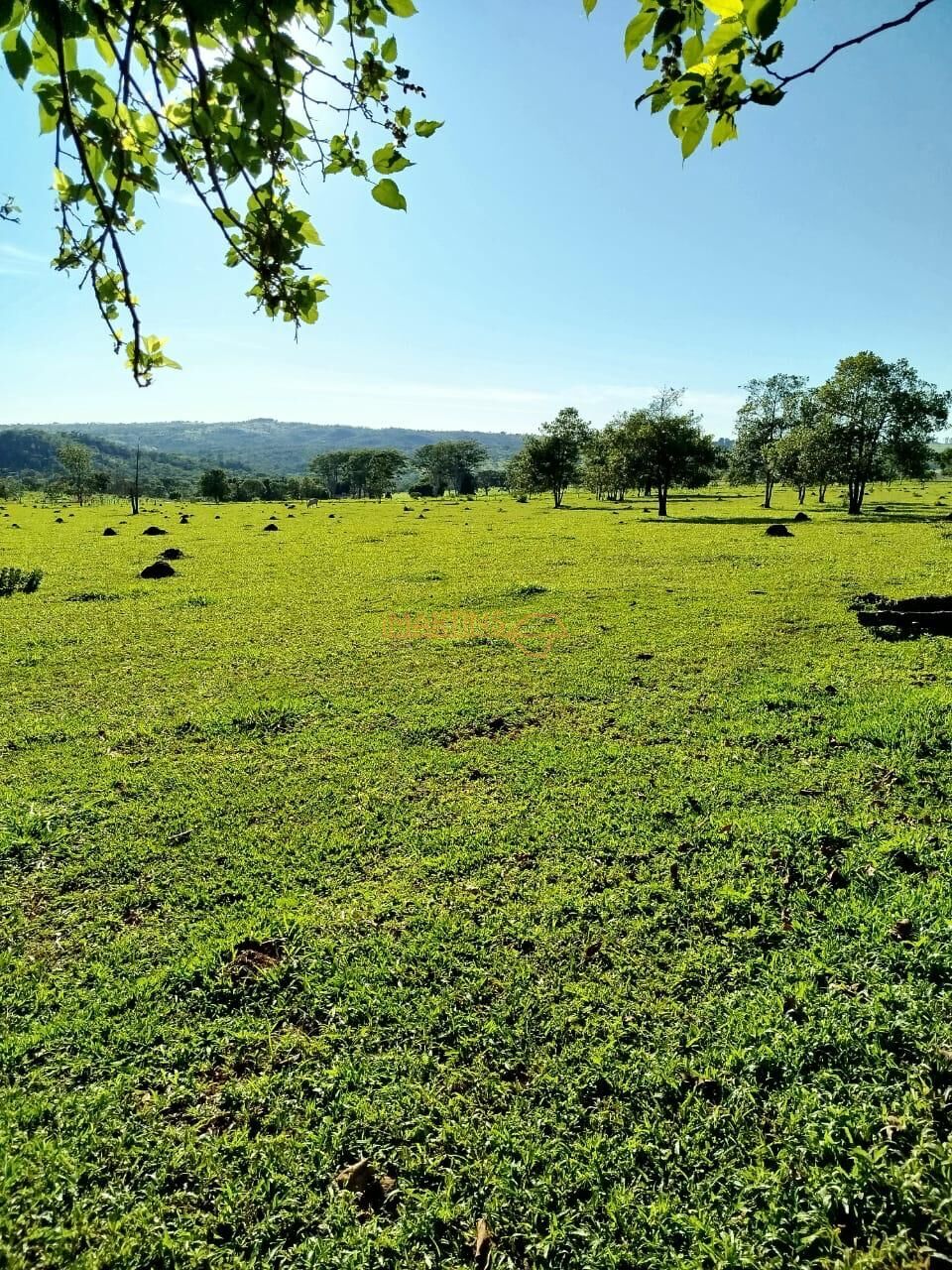 Terreno, 300 m² - Foto 9