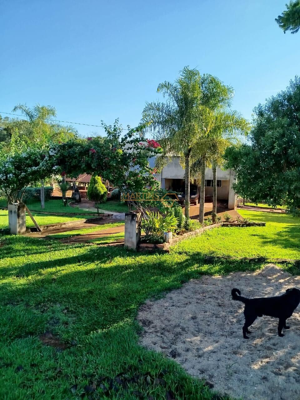 Terreno, 300 m² - Foto 4