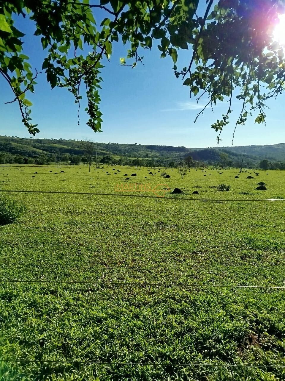 Terreno, 300 m² - Foto 5