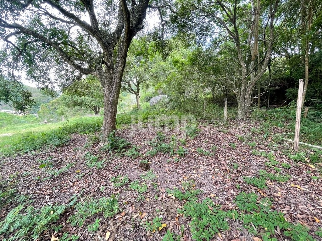 Terreno à venda, 3600m² - Foto 6