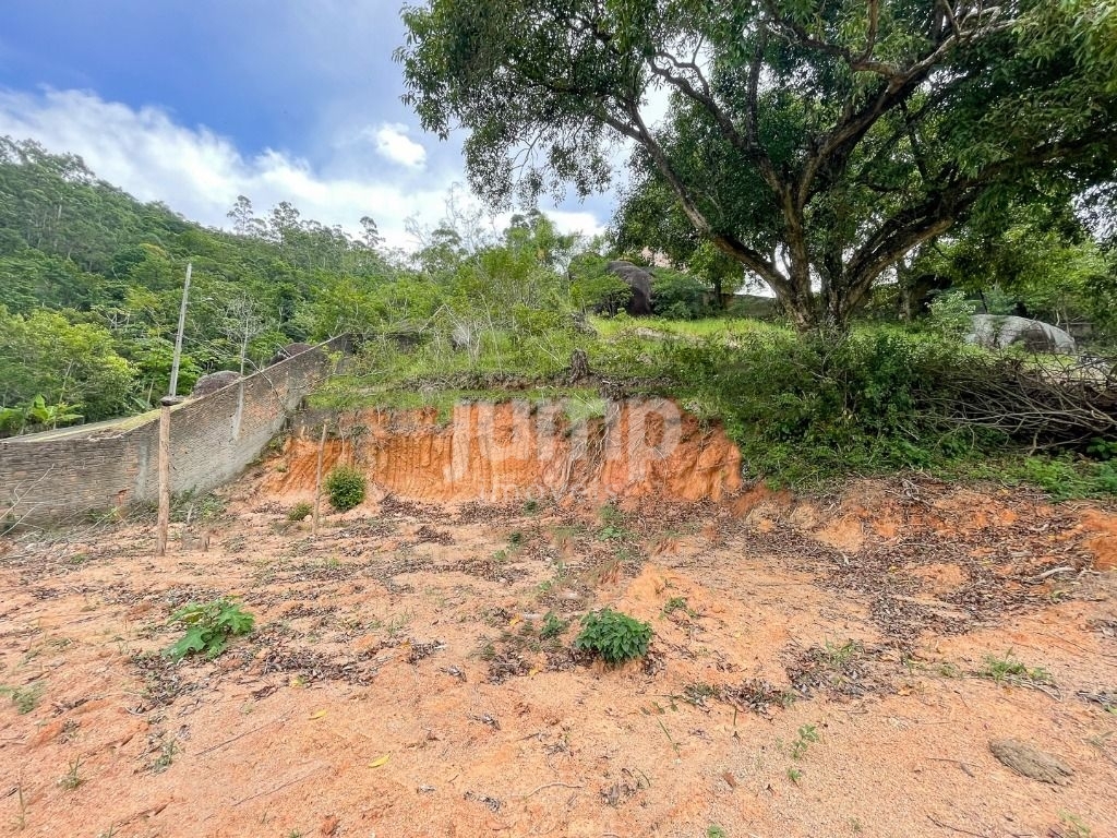 Terreno à venda, 3600m² - Foto 3