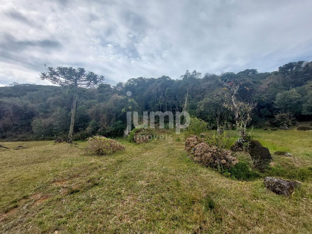 Terreno à venda, 3001m² - Foto 3