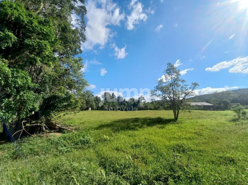 Terreno à venda, 2500m² - Foto 6