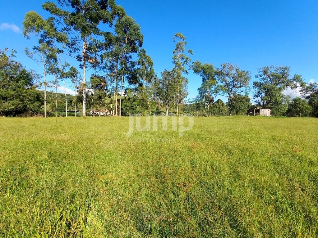 Terreno à venda, 2500m² - Foto 1