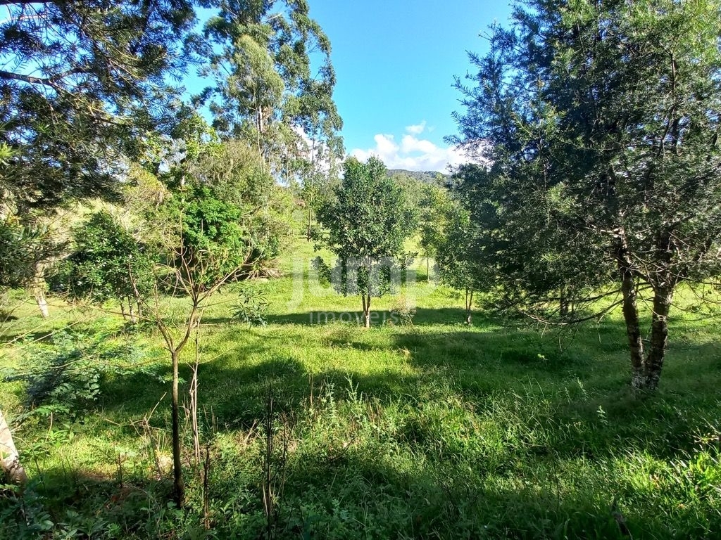 Terreno à venda, 2500m² - Foto 11