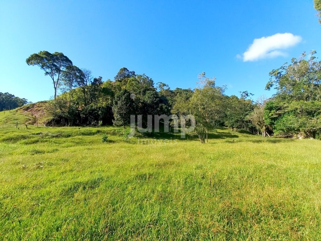 Terreno à venda, 2500m² - Foto 3