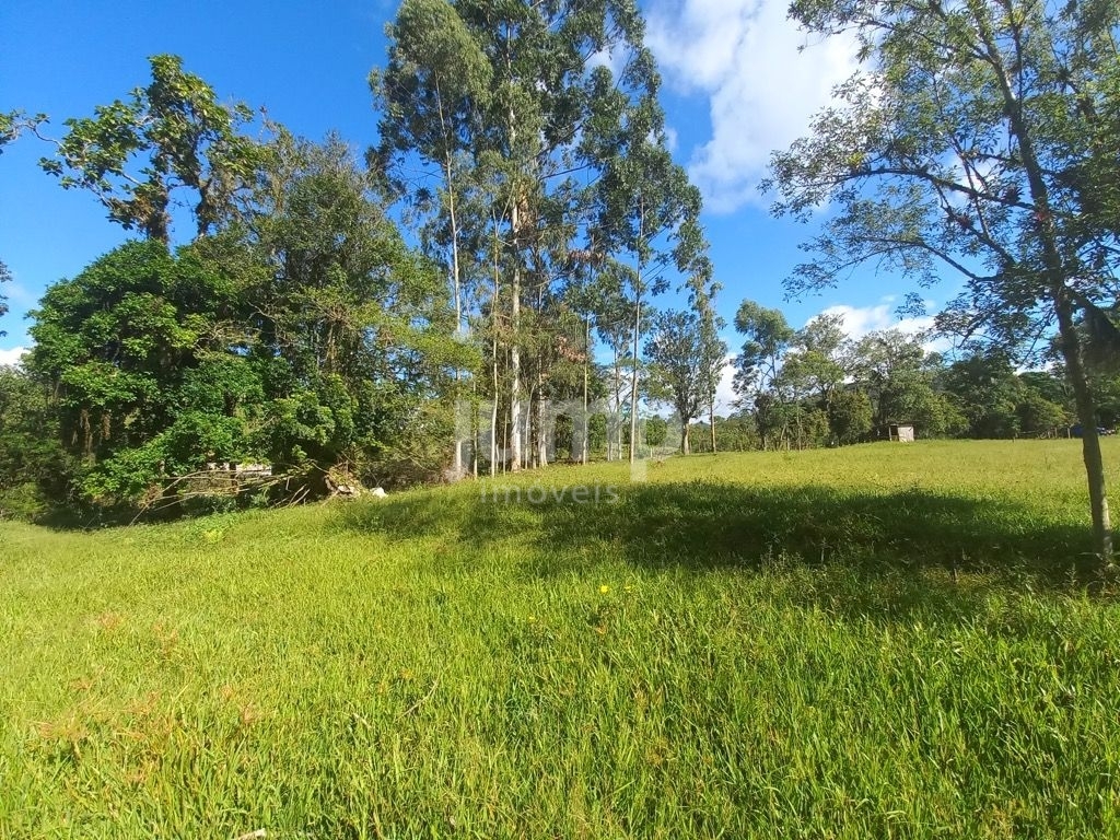 Terreno à venda, 2500m² - Foto 7