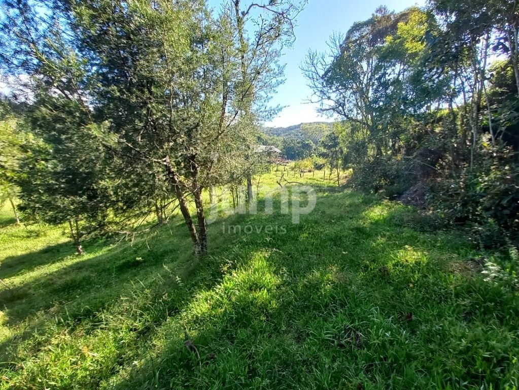 Terreno à venda, 2500m² - Foto 12