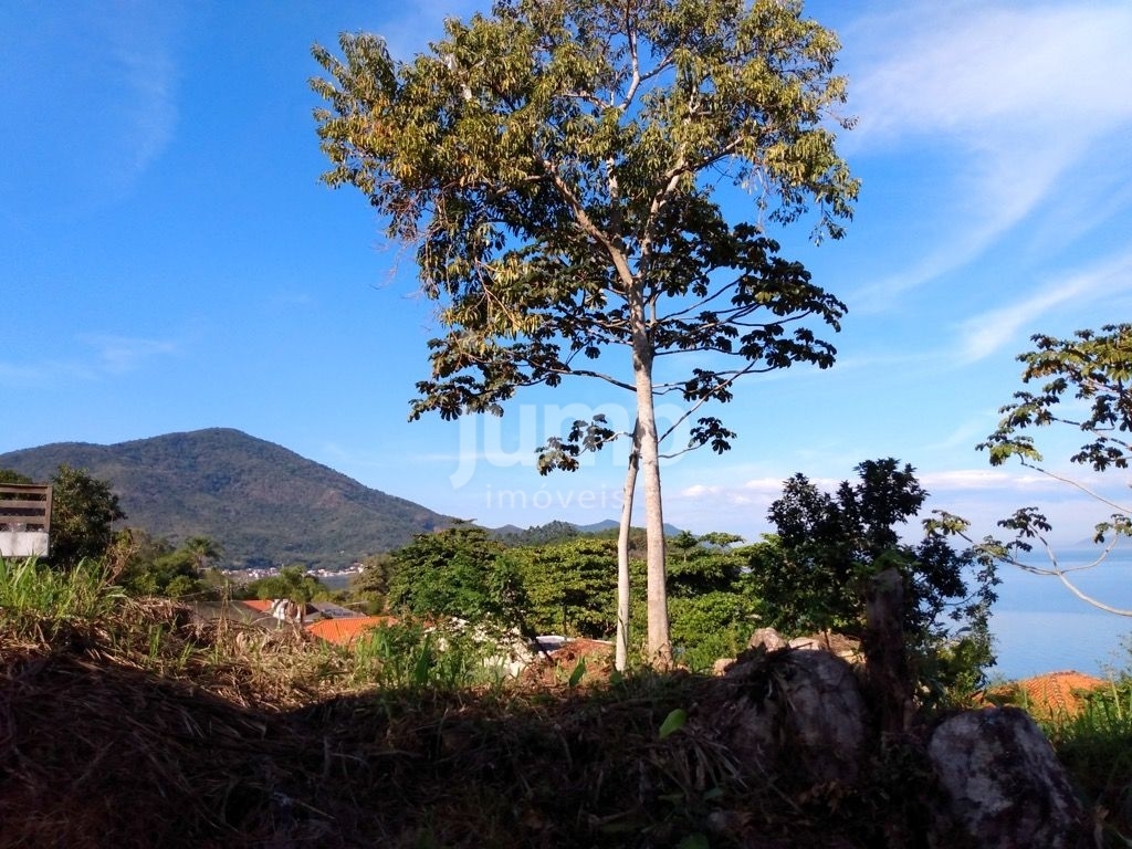 Terreno à venda, 894m² - Foto 8